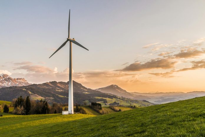 white windmill ap environmental science book