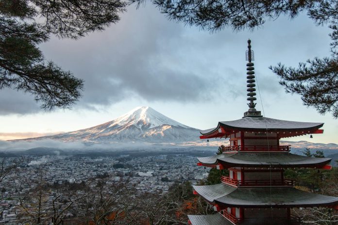 red and gray pagoda temple ap japanese review book